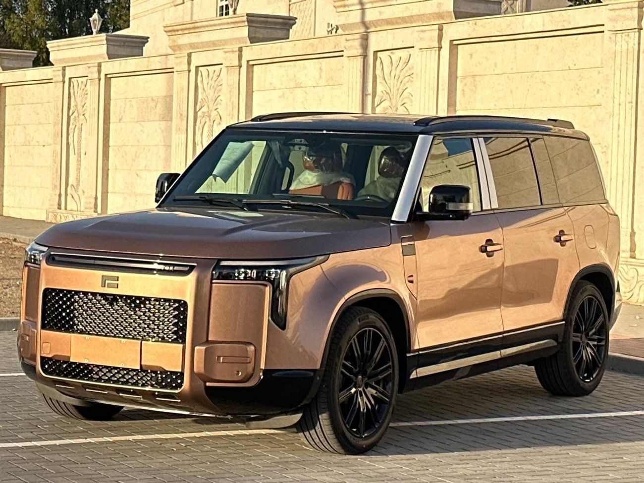 روكس أداماس