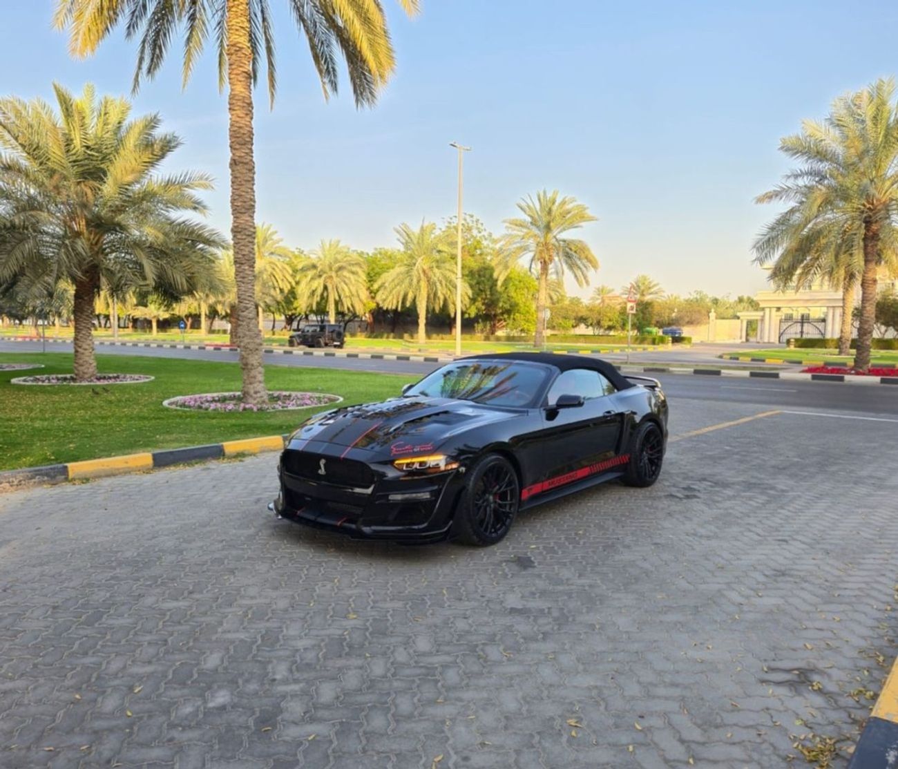 Ford Mustang EcoBoost 2.3L Convertible A/T