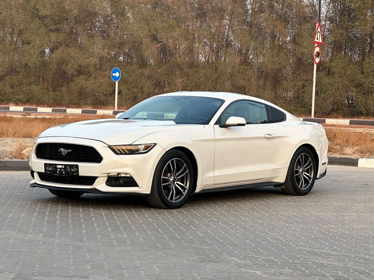 Ford Mustang PREMIUM