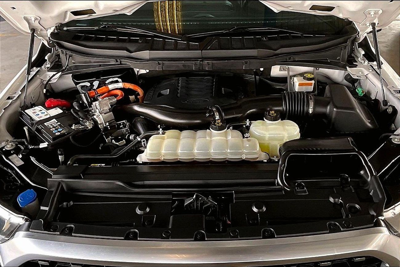 Ford F 150 Platinum FX4 - Super Crew | Guaranteed Warranty | 0 Down Payment