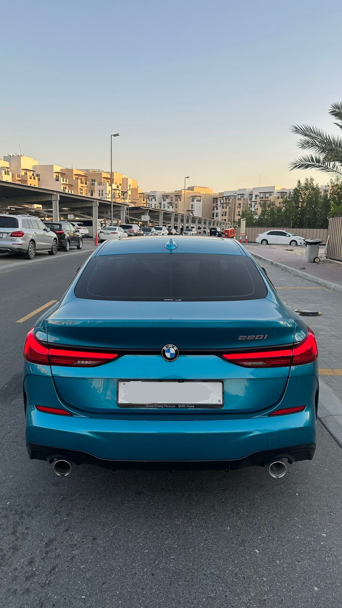بي أم دبليو 220