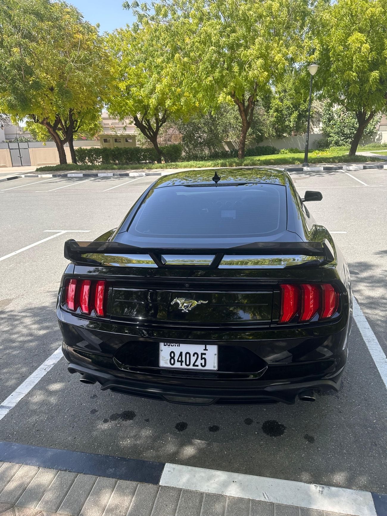 Ford Mustang Ecoboost