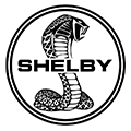 شلبي logo
