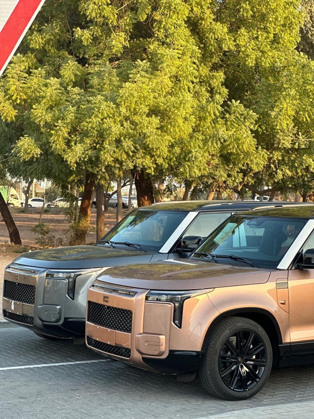 روكس أداماس