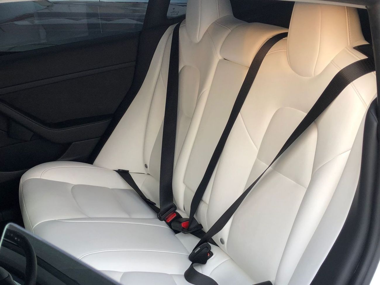 Tesla Model 3 Performance