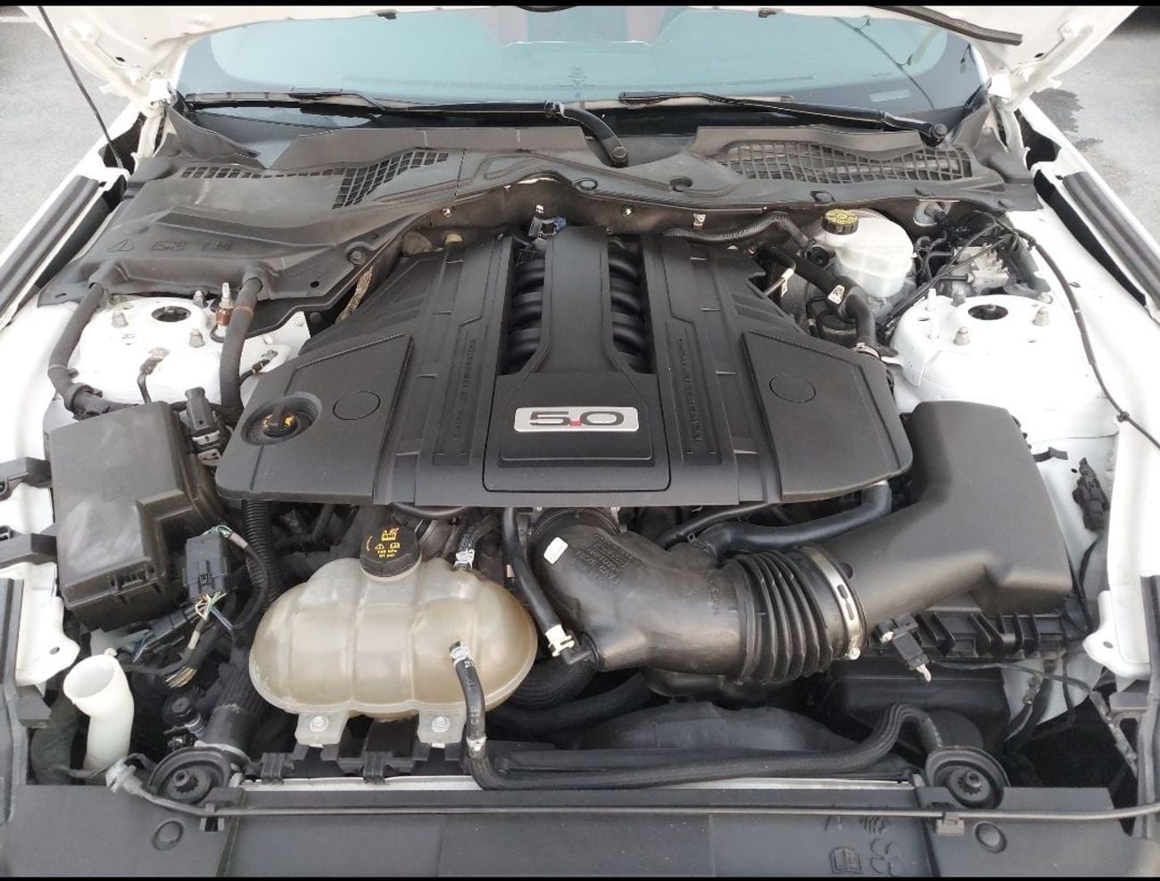 Ford Mustang GT Premium 5.0L V8