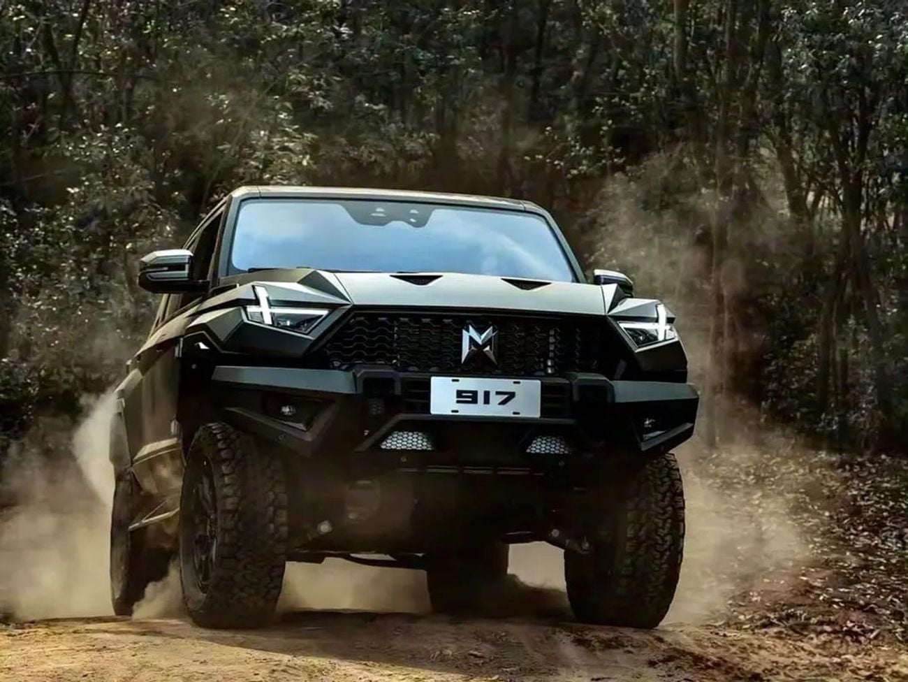 Dongfeng M Hero M-Hero 917