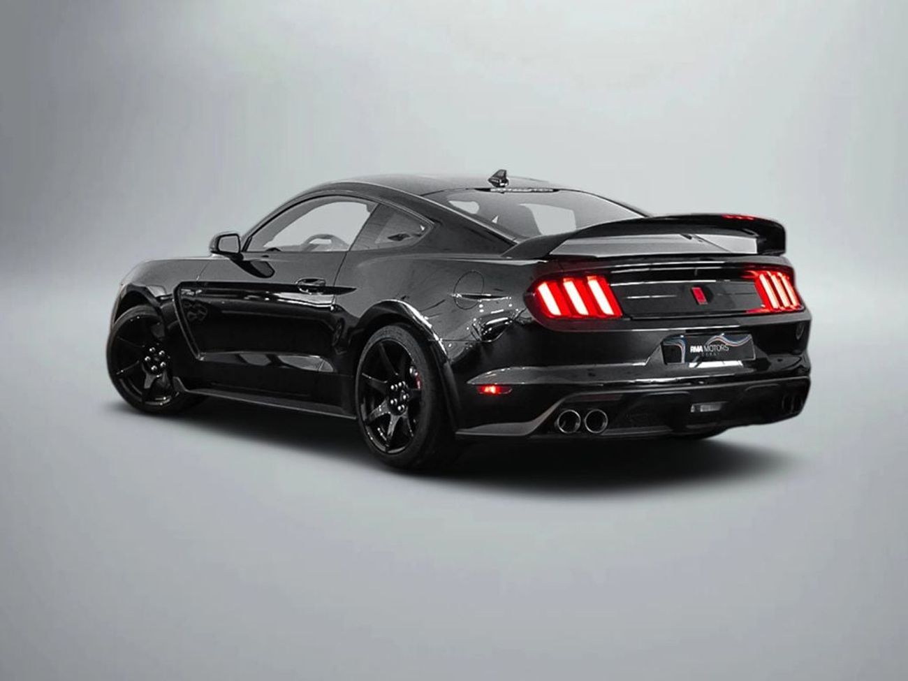 Ford Mustang Shelby GT350 R