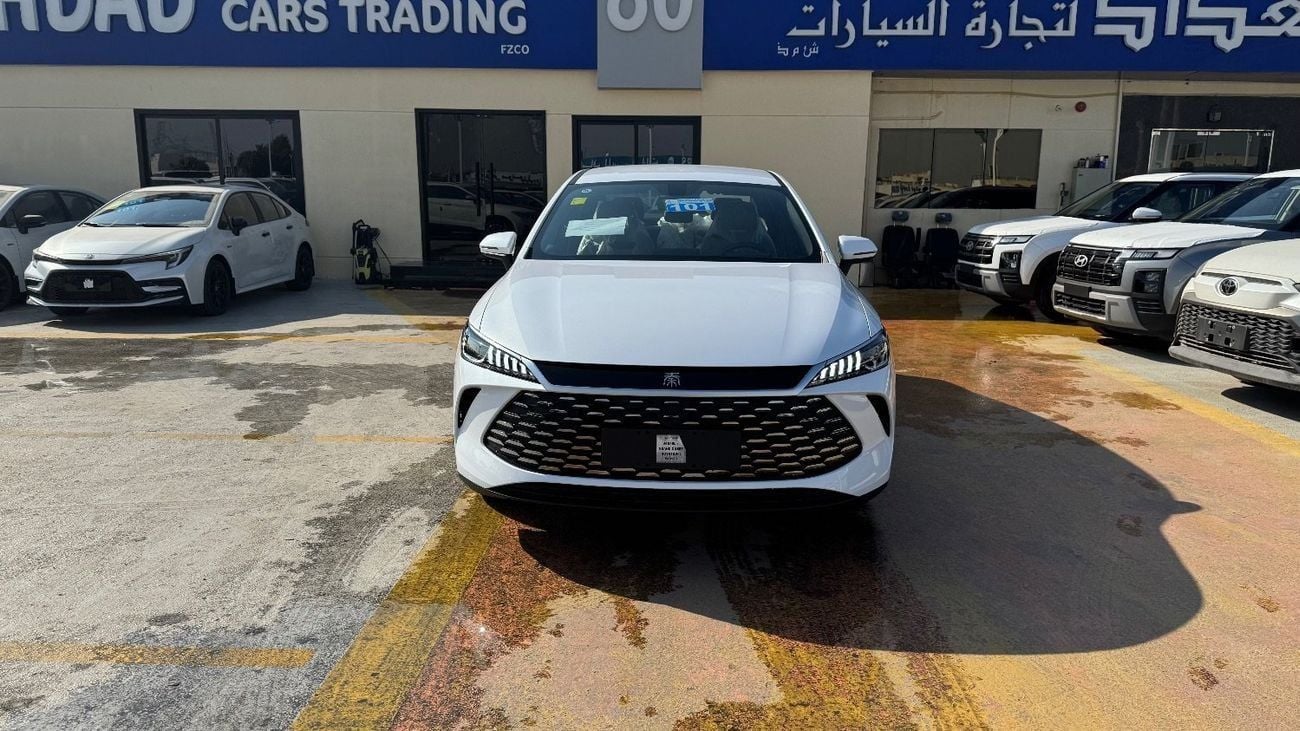 BYD QIN PLUS STD Mid Luxury full trim