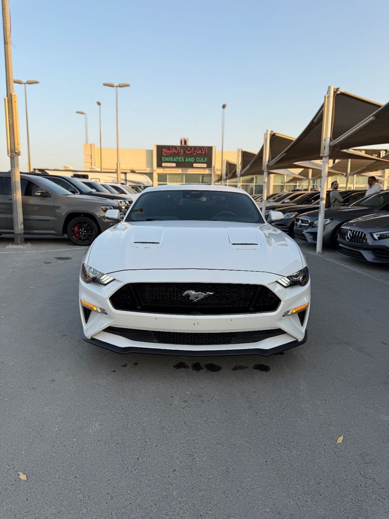 Ford Mustang GT Premium 5.0L V8