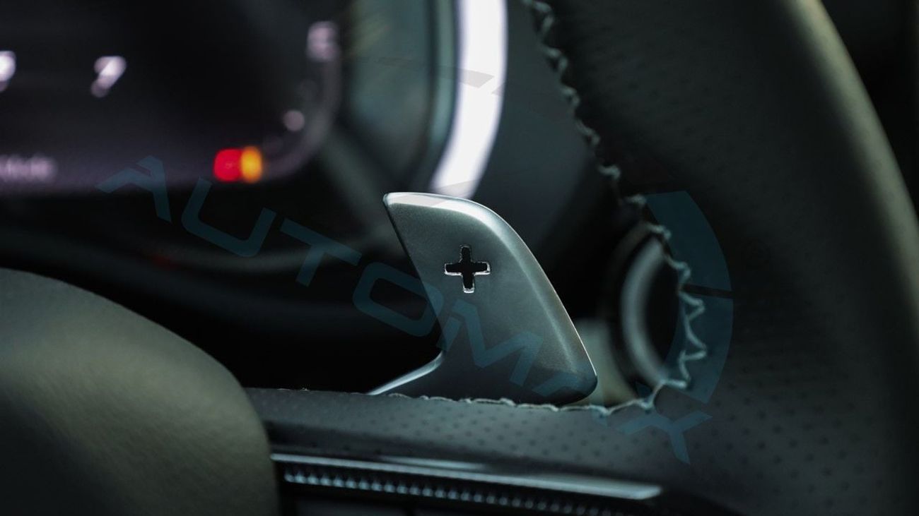 رام 1500 (For Export , НА ЭКСПОРТ) PY 25/25 REBEL GT SST 3.0TT HURRICANE GCC Без пробега