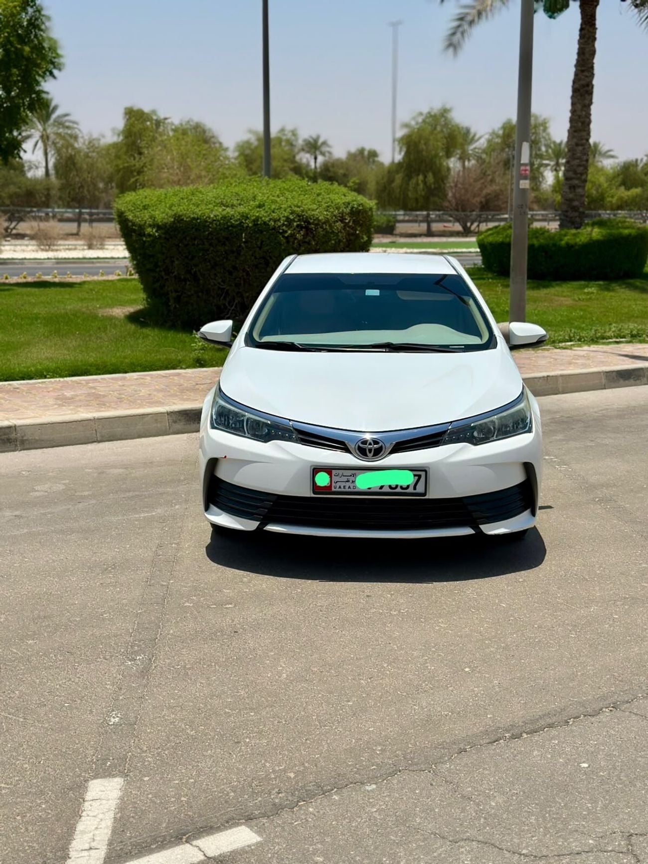 Toyota Corolla XLI