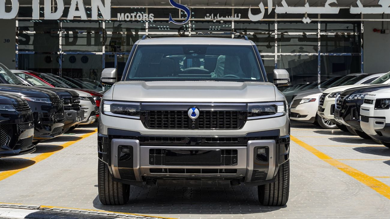 دينزا B8
