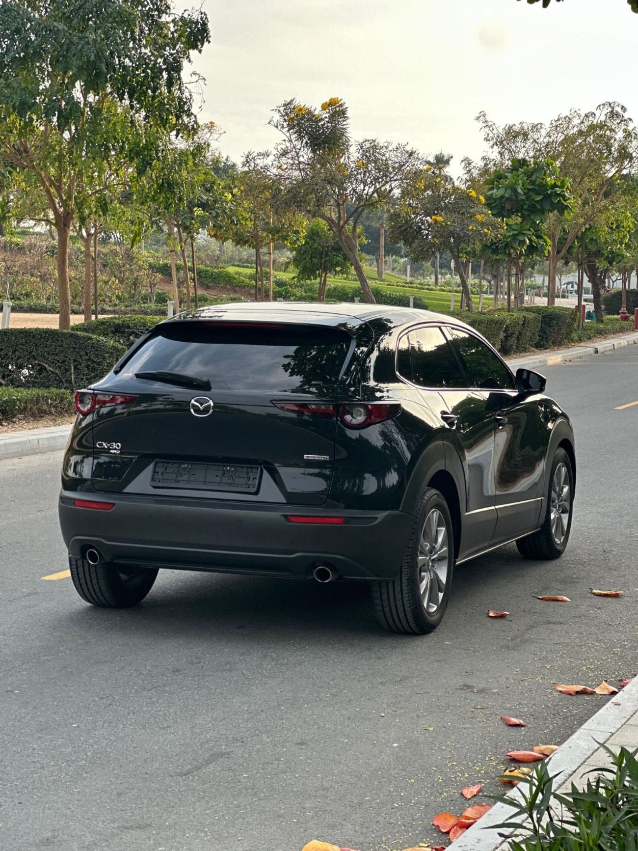 Mazda CX-30 SIGNATURE