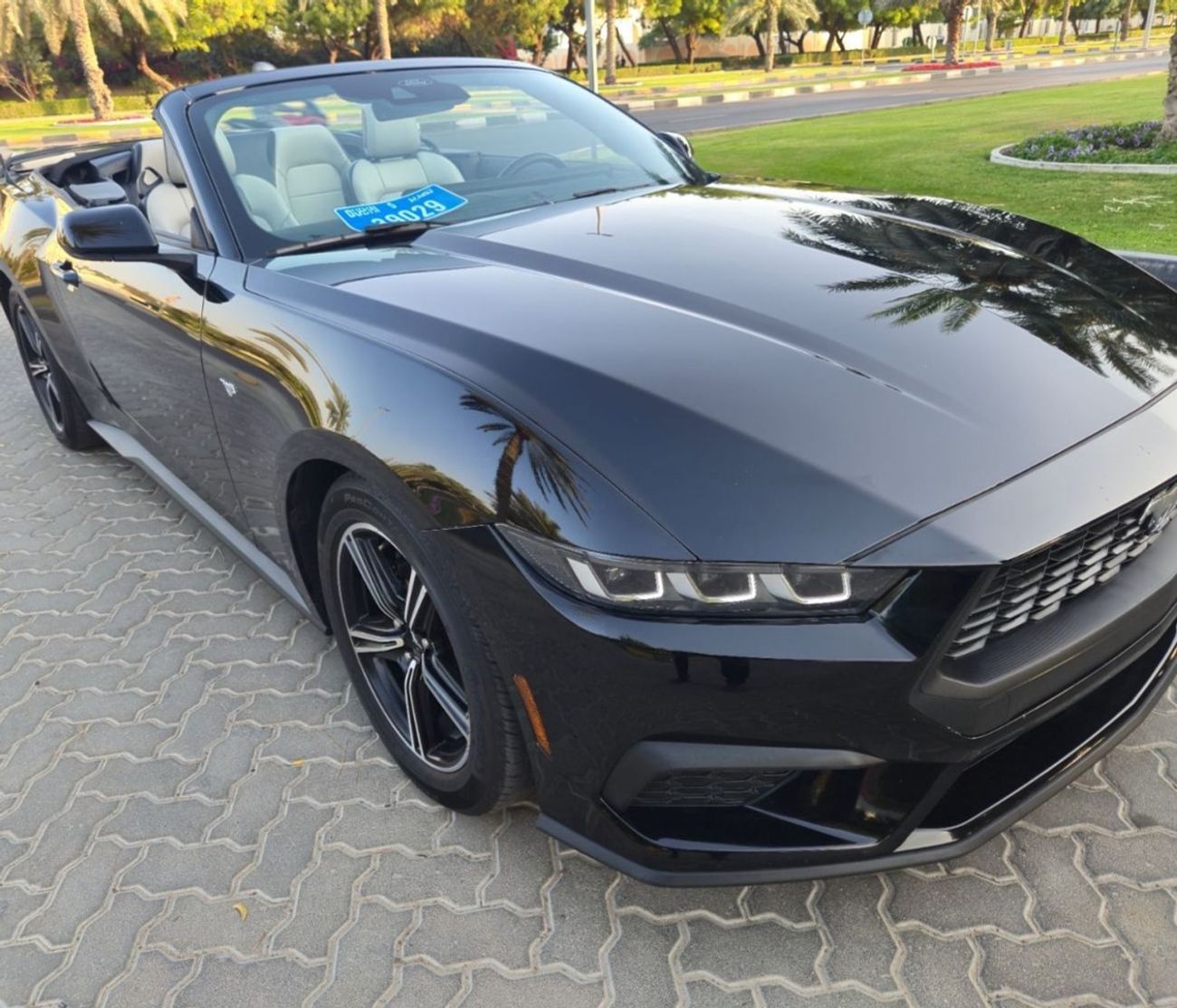 Ford Mustang EcoBoost 2.3L Convertible A/T