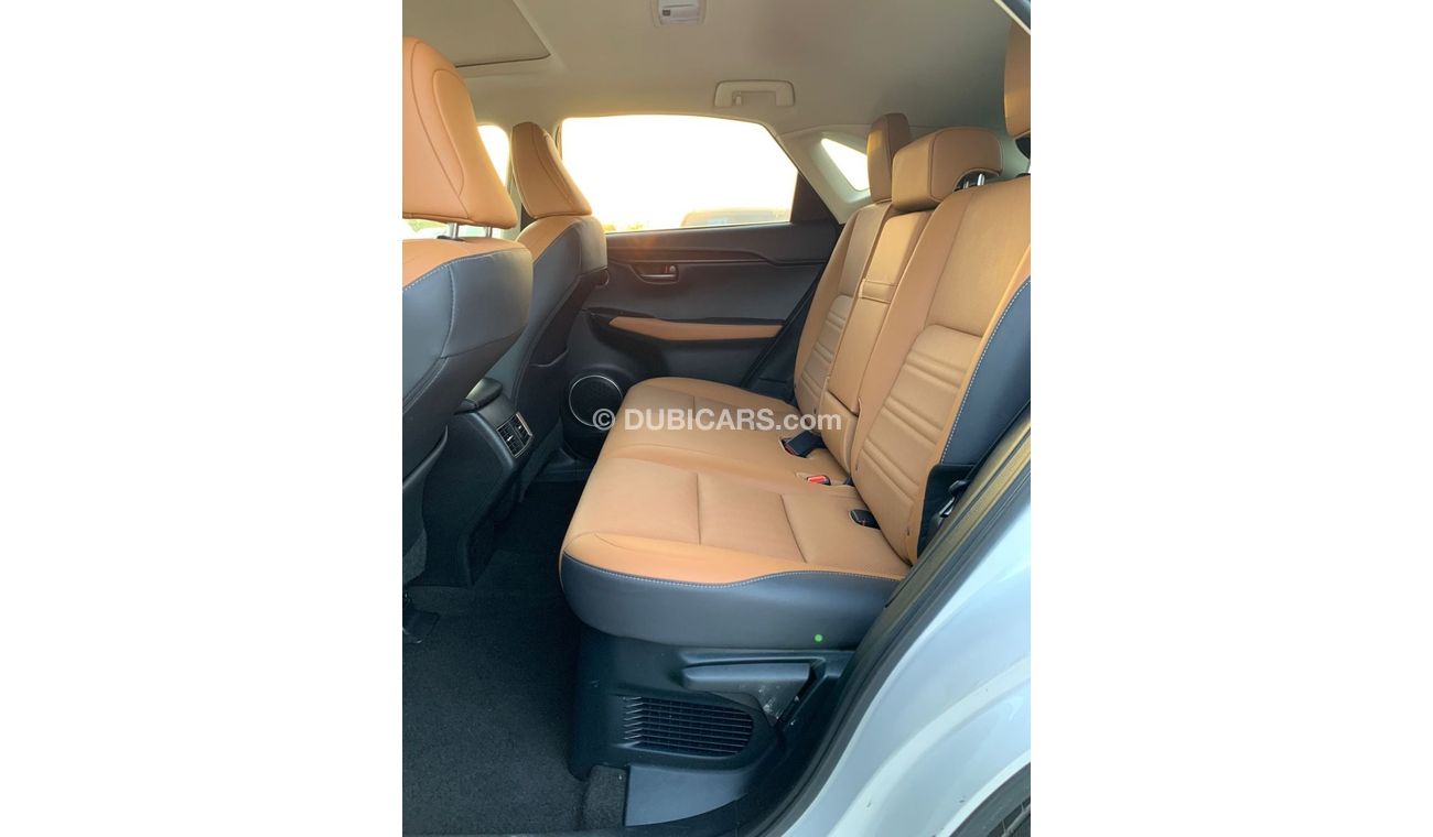 Lexus NX300 2019 LEXUS NX300 FULL OPTIONS IMPORTED FROM USA