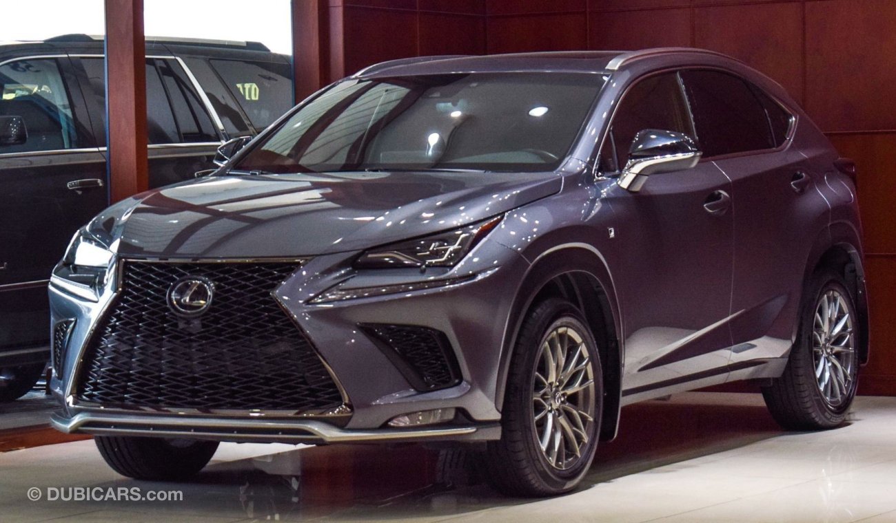 Lexus NX300 F Sport