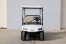 Golf Buggy 2021 Wuling Golf Car - 4 Seater | Export Price