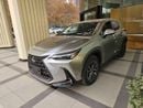 Lexus NX350 Lexus 350 / 2025 / Chinese