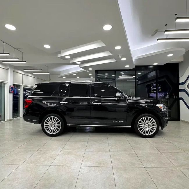 Ford Expedition PLATINUM, миниатюра 21