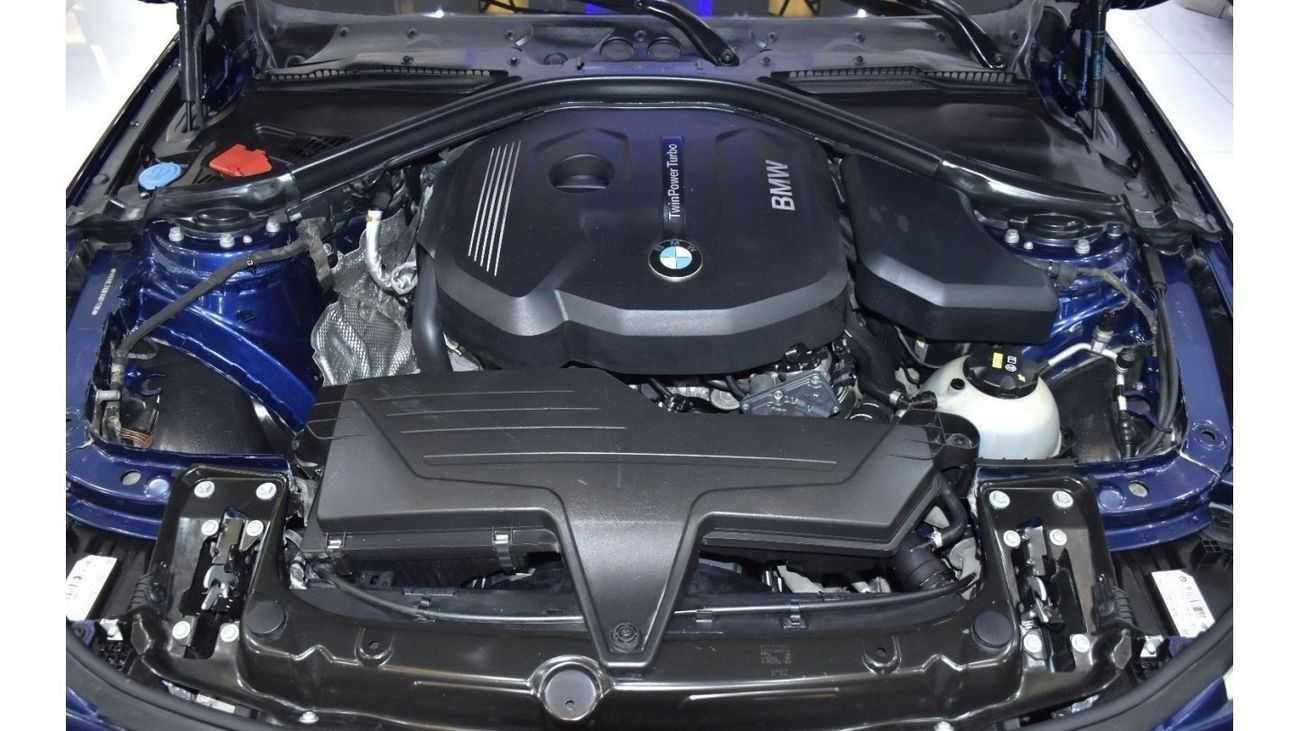 BMW 318i EXCELLENT DEAL for our BMW 318i ( 2018 Model ) in Blue Color GCC Specs