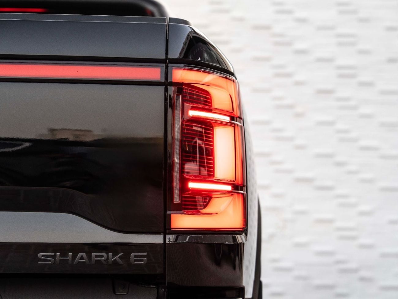 BYD Shark 6