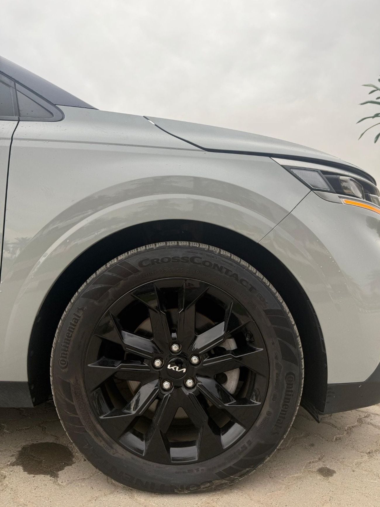 Kia Carnival Platinum Carnival