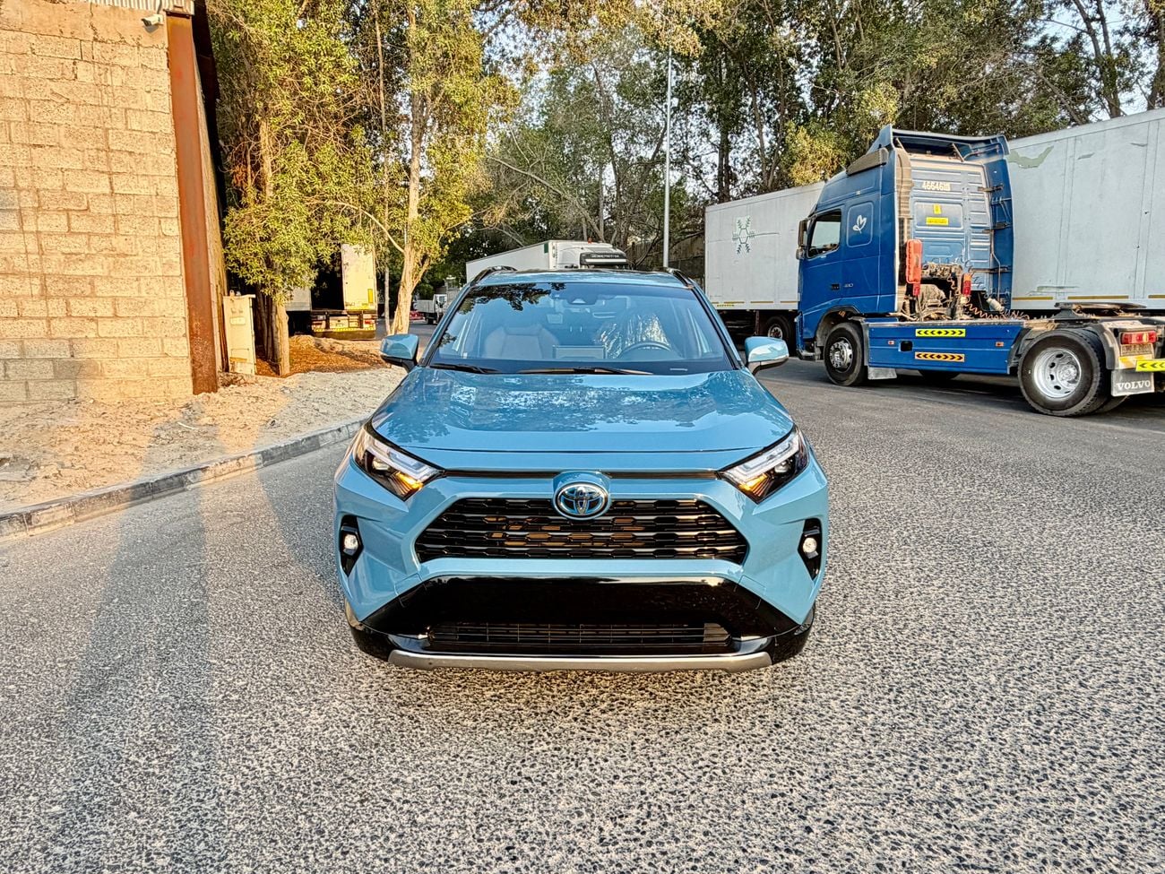 Toyota RAV4 SE Edition Hybird