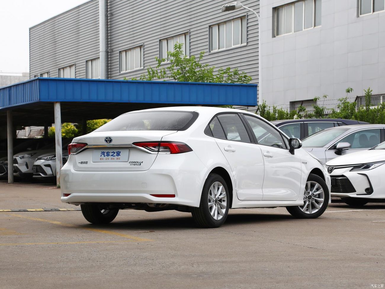 Toyota Corolla 2025 Toyota Corolla Pioneer Edition Sedan HEV 1.8L 4-Cyl Hybrid CVT FWD Export Only