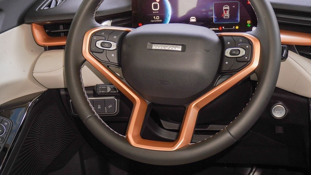 هافال H6 ACTIVE PLUS 2.0L (For Local Plus 10%)