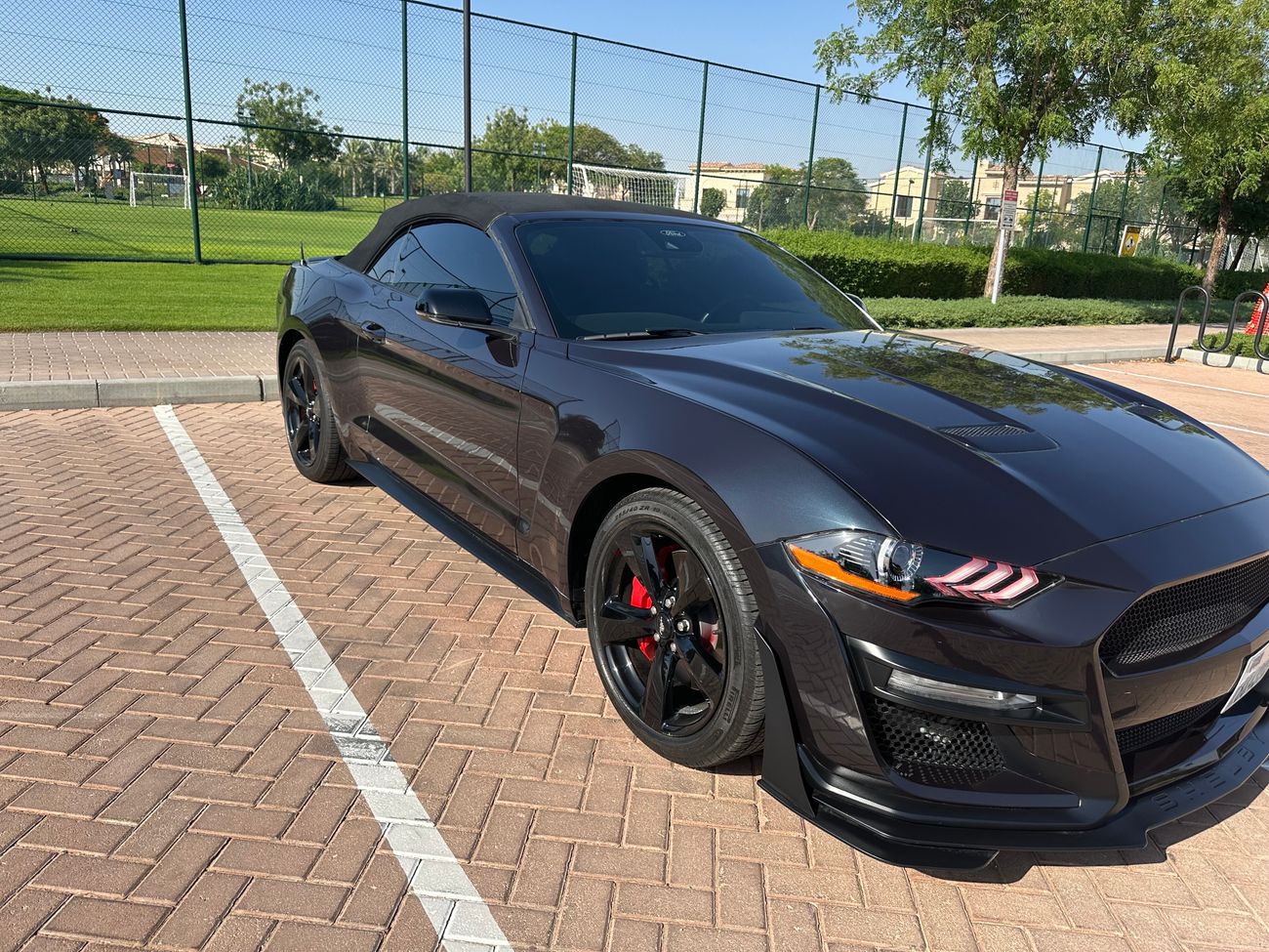 Ford Mustang GT (Not Flooded)