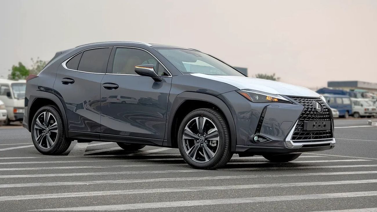 Lexus UX250h UX 250H | 2-YEAR WARRANTY + SERVICE AVAILABLE | IN-HOUSE FINANCING | 0% DOWNPAYMENT (BANK)