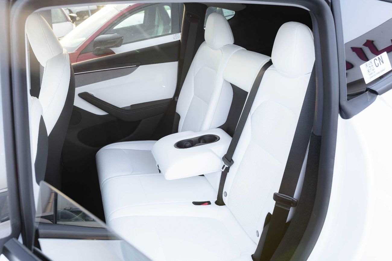 Tesla Model Y Tesla Model Y Long Range (719KM) 2025