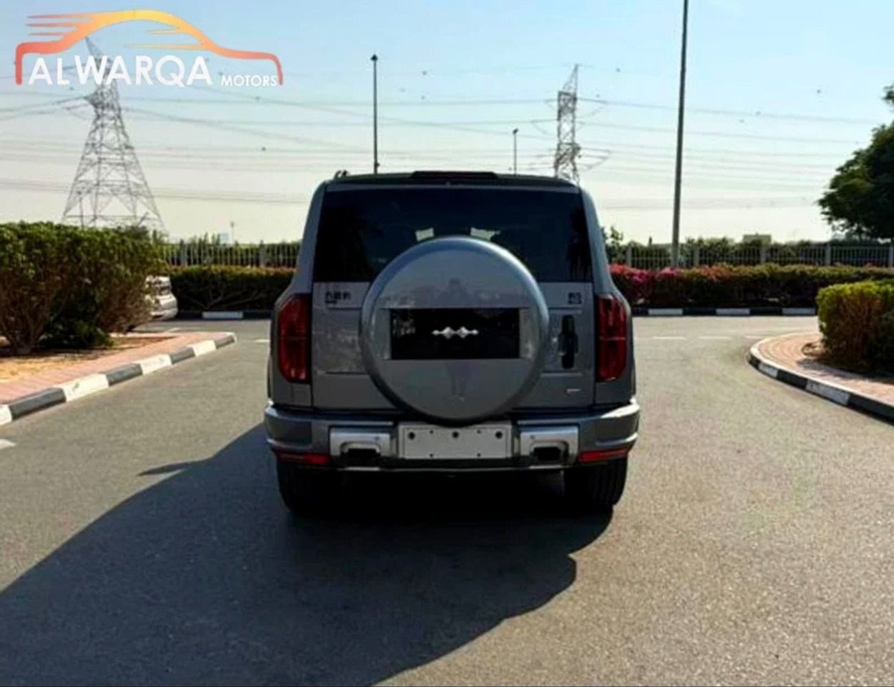 بي واي دي ليوبارد 5