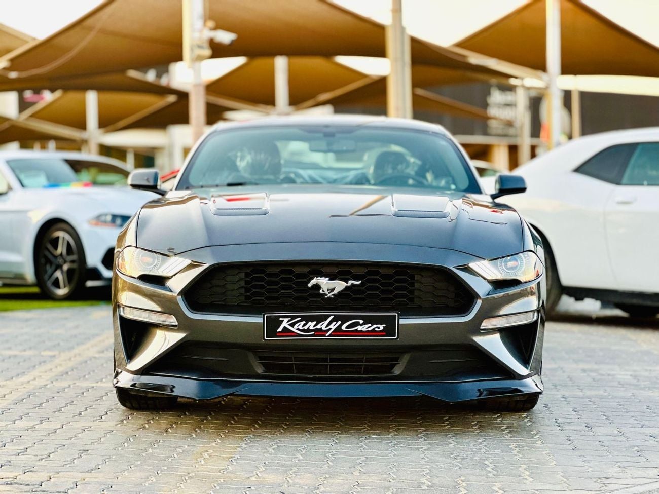 فورد موستانج STD