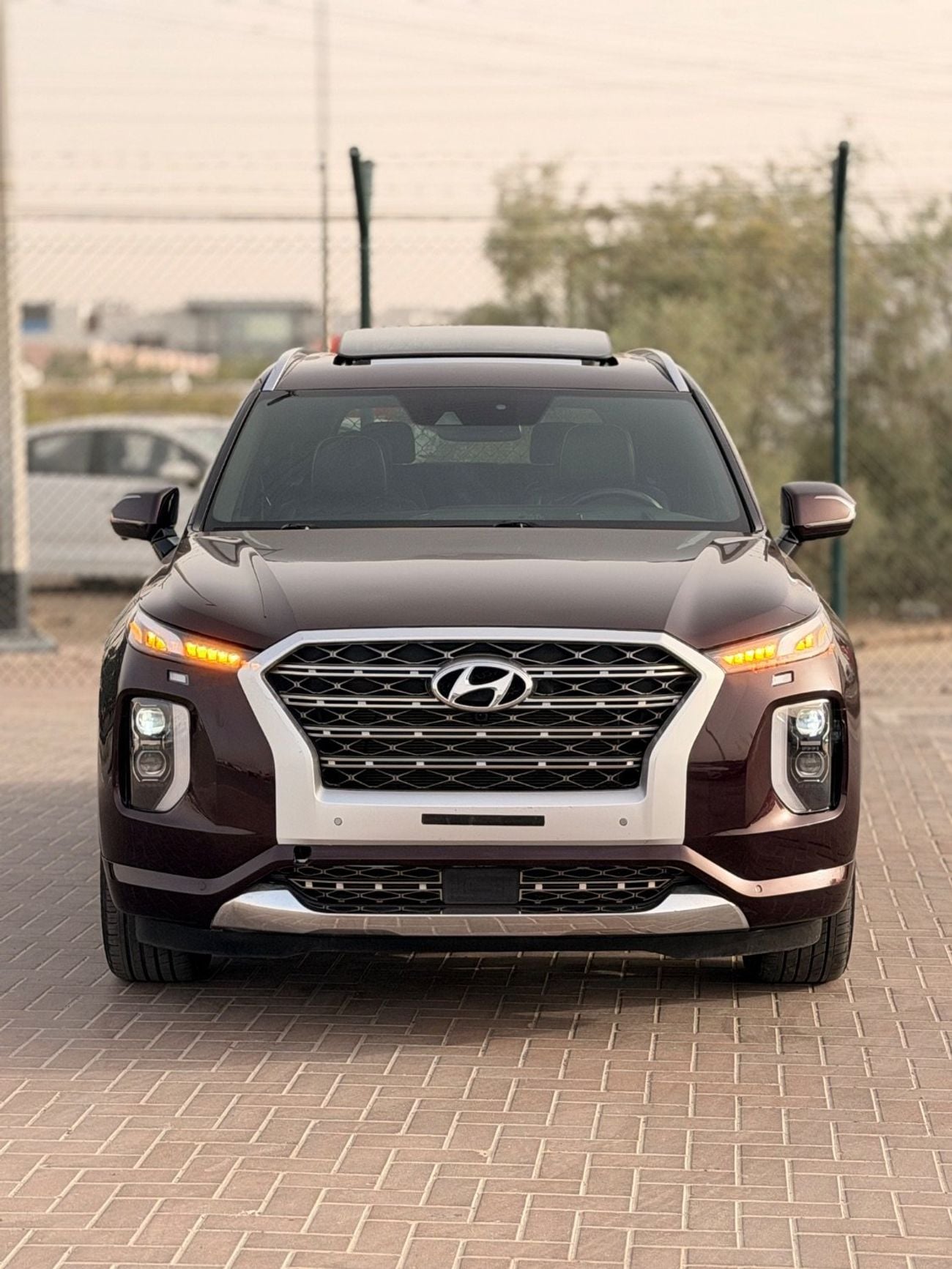 Hyundai Palisade Calligraphy/ panoramic, 360 camera/ head up display, 2022