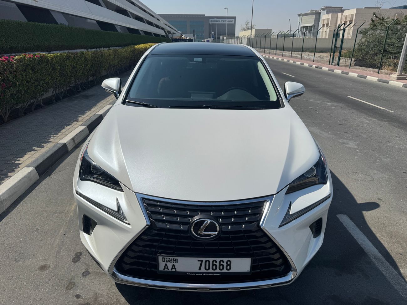 Lexus NX300