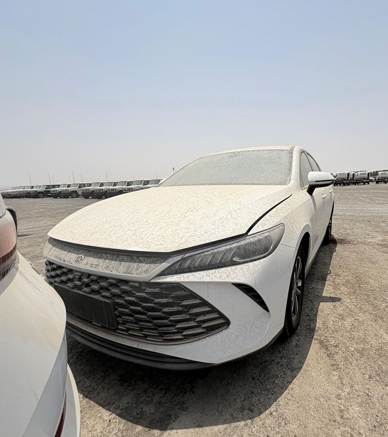 BYD QIN PLUS STD