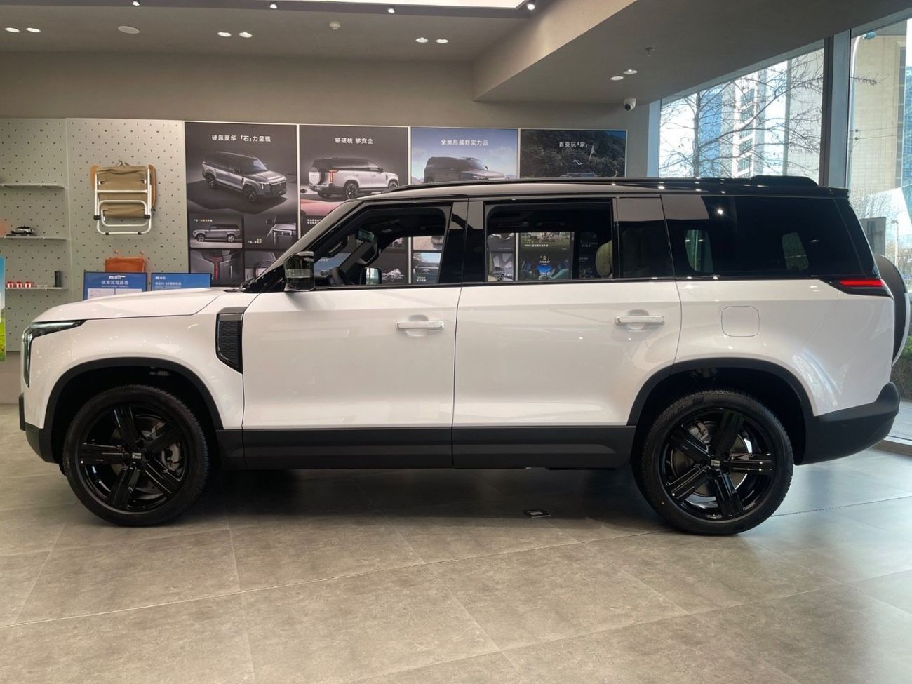 ROX 01 The New Rox 01 2025