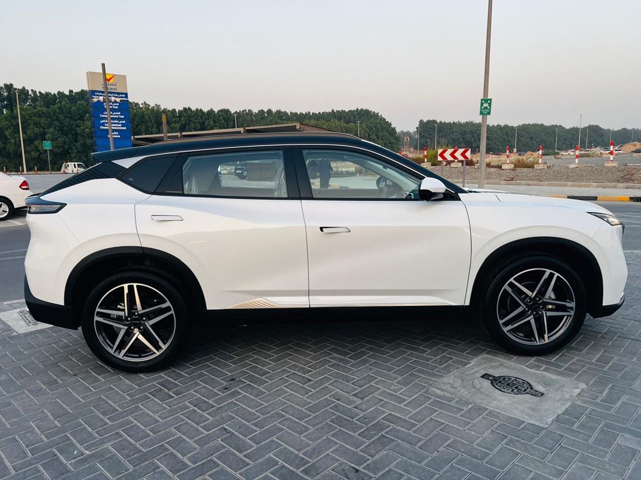 Dongfeng Mage