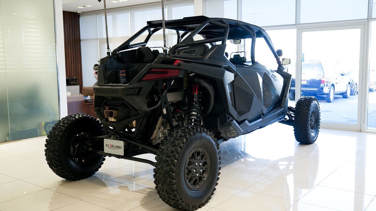 Polaris Dune Buggy STEALTH BLACK