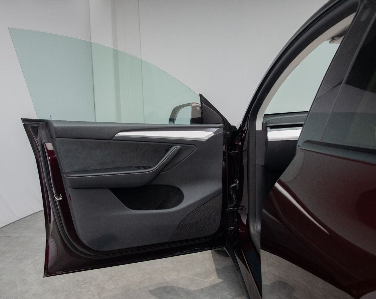 Tesla Model Y PERFORMANCE