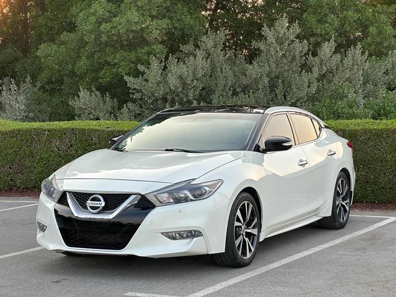 Nissan Maxima SL