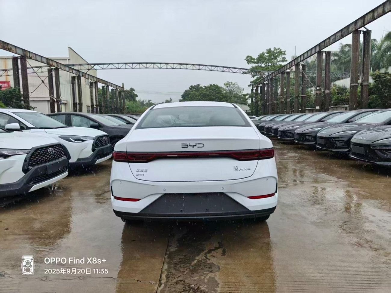 BYD QIN PLUS Byd qin plus DMI55 km