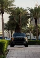 Ford F 150 Raptor Raptor 3.5L V6