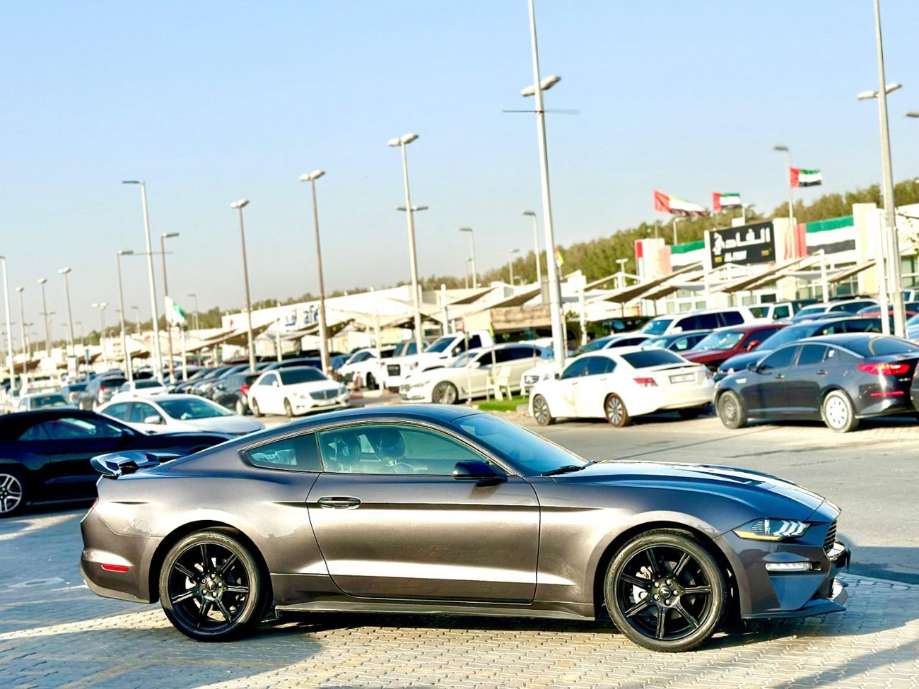 فورد موستانج STD