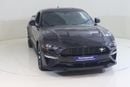 Ford Mustang STD CP1022 / AL TAYER MOTORS AL QOUZ SHOWROOM