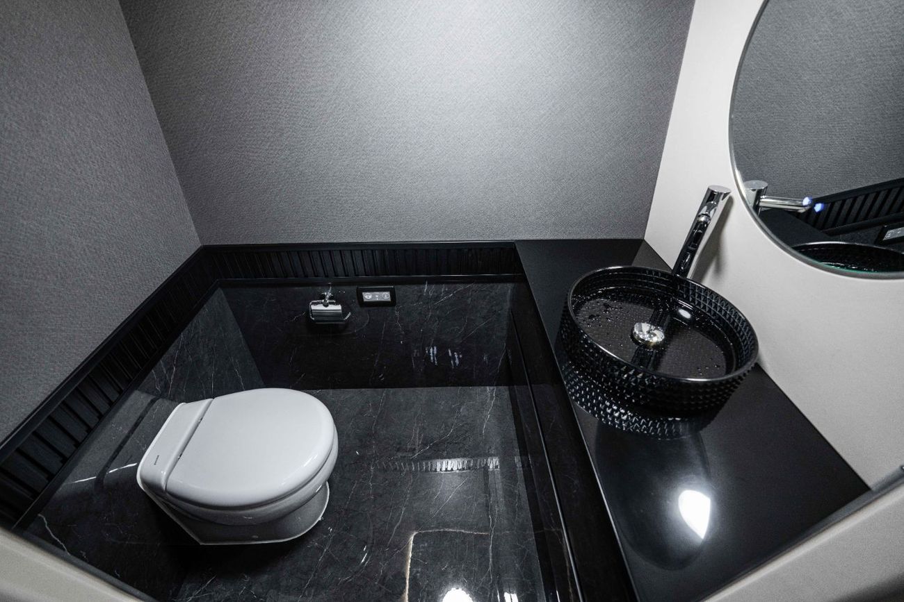 Mercedes-Benz Sprinter VIP High End Transporter with Luxurious Options