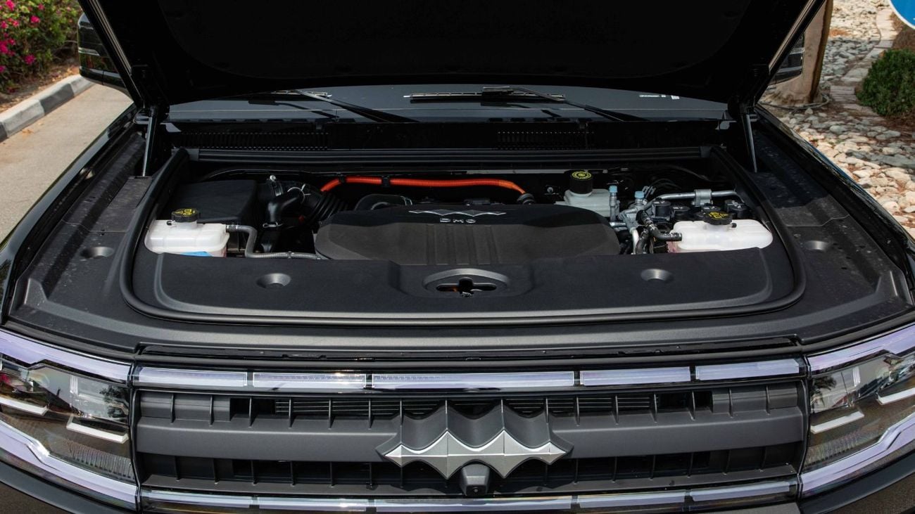 بي واي دي ليوبارد 5 ULTRA EDITION | 20-inch Rims | 2025 | Coming Soon