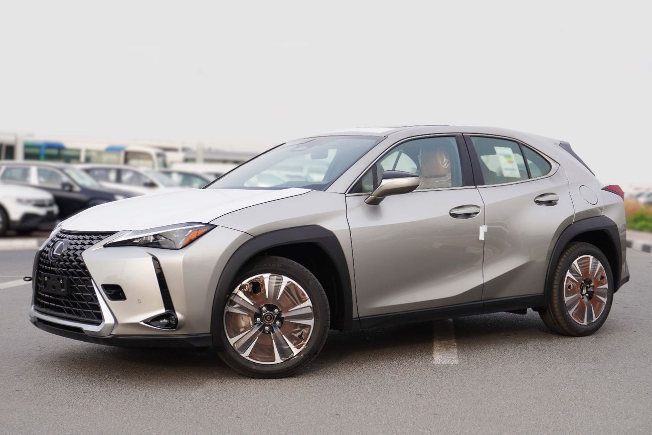 Lexus UX300h UX300 2.0L HEV